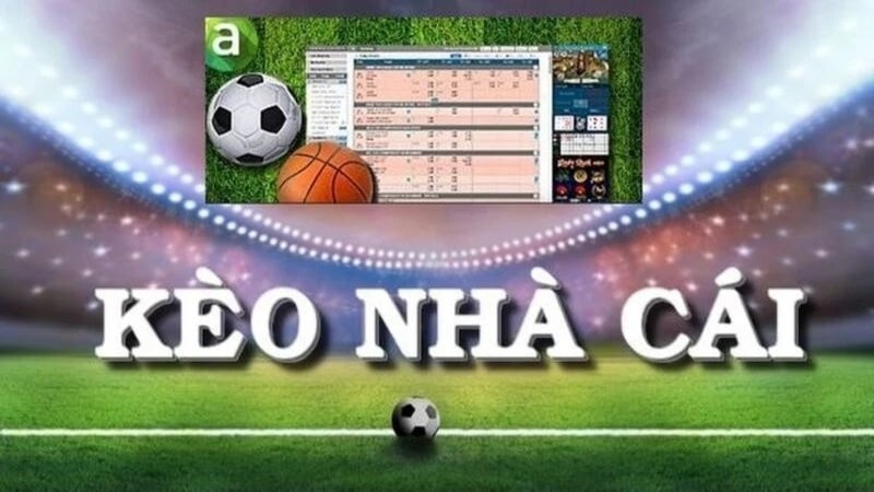 Trang Chủ Keonhacai.krd 78 Kèo nhà cái
